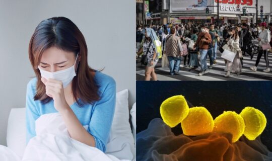 what-is-stss-viral-virus-in-japan