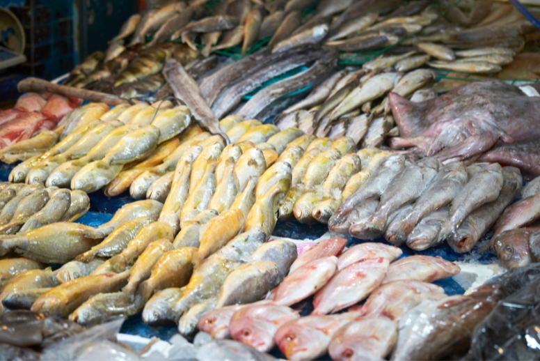 4 types of fish have to eat less